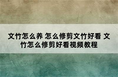 文竹怎么养 怎么修剪文竹好看 文竹怎么修剪好看视频教程